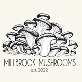 Millbrook Mushrooms
